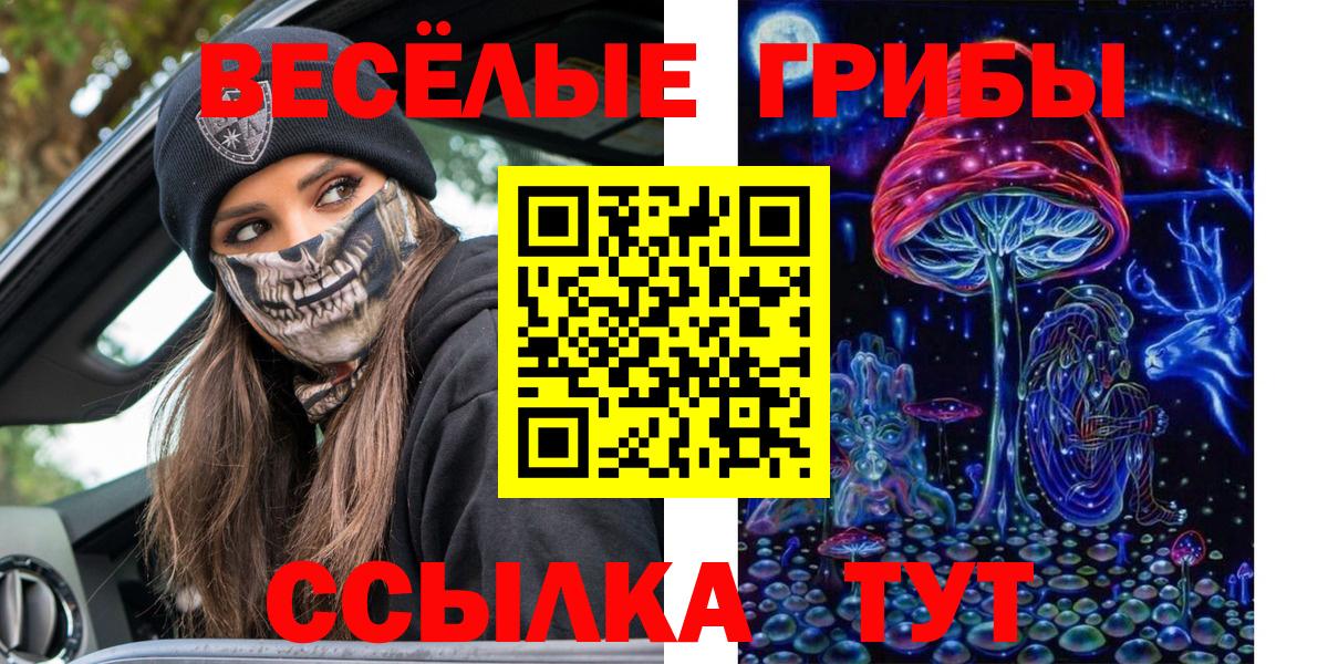 Тверь  купить наркоту  Вход с VPN  Псилоцибиновые грибы Psilocybine cubensis 