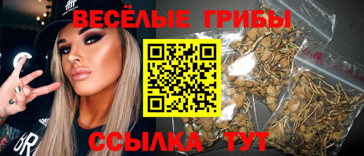 Галлюциногенные грибы прущие грибы Тверь